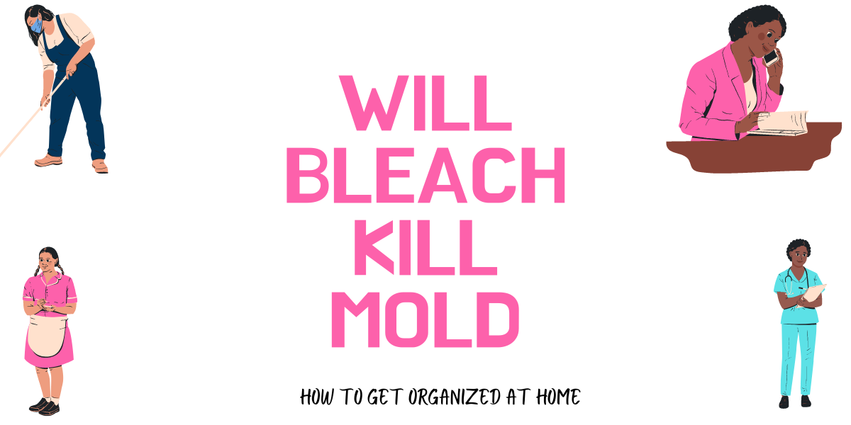 How Long Does Bleach Need To Kill Mold At Carlton Jacobson Blog