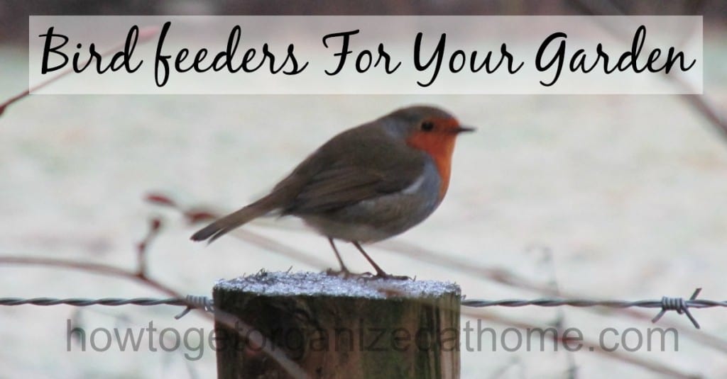 How To Make Bird feeders For Your Garden