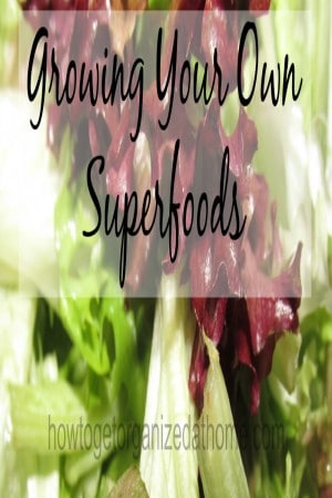Growing Your Own Superfoods