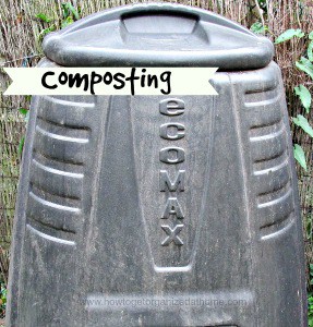 The Compost Bin