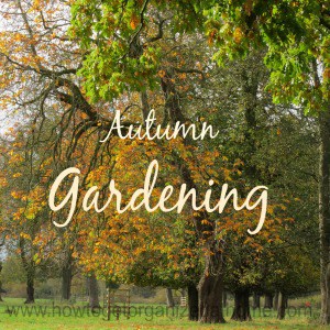 Autumn Gardening Tips