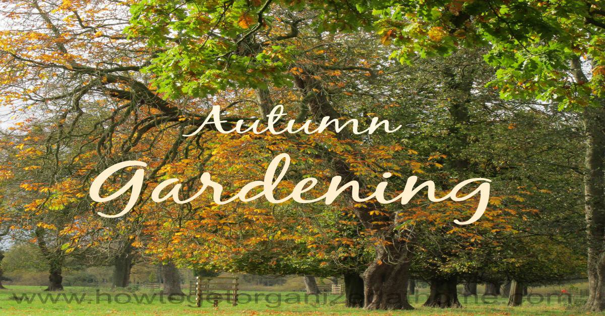 Autumn Gardening Tips How To Get Organized At Home