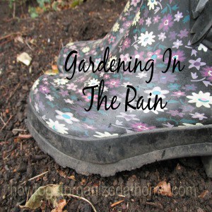 Gardening In The Rain