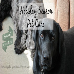 Your Pet Care This Holiday Season