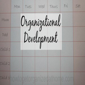 Improve Your Organizational Development