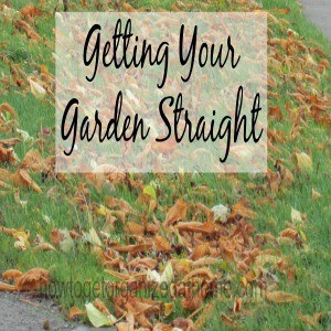 Getting Your Garden Straight