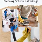 How’s Your Cleaning Schedule Working?