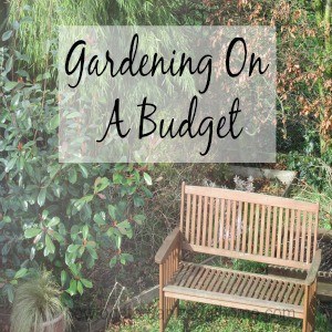 Gardening On A Budget