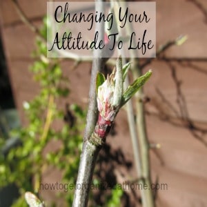 Changing Your Attitude To Life