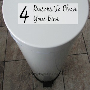 4 Reasons To Clean Your Bins