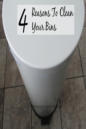 4 Reasons To Clean Your Bins