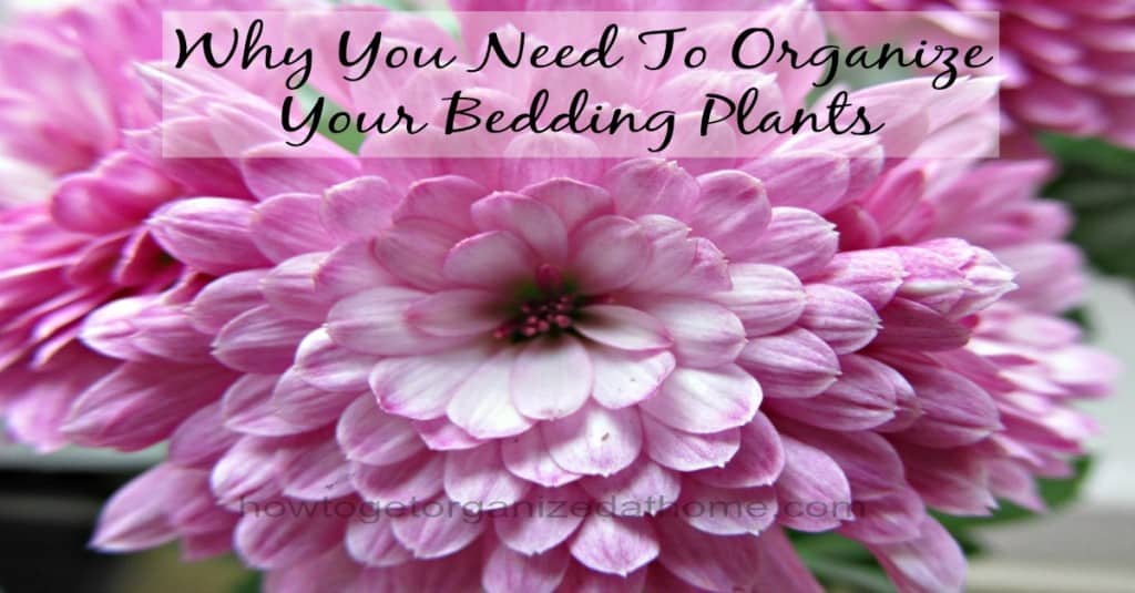 Why You Need To Organize Your Bedding Plants