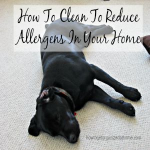How To Clean To Reduce Allergens In Your Home