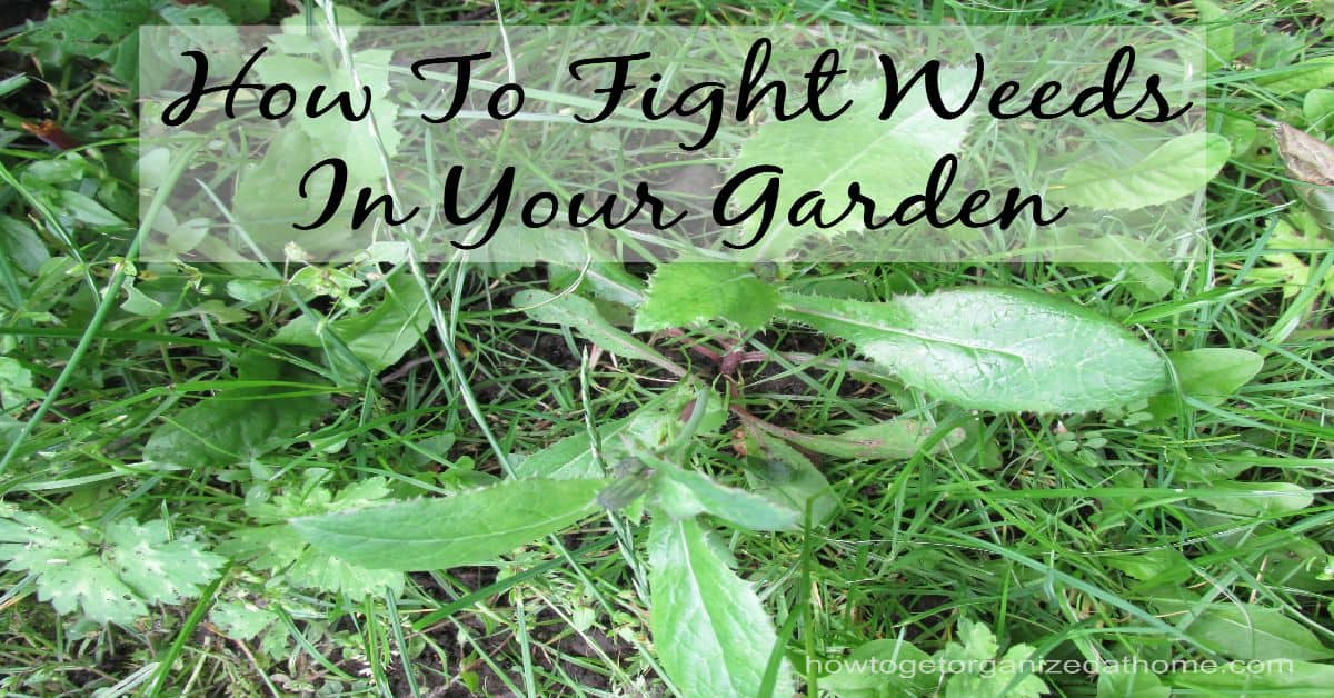 Fight Weeds - How To Get Organized At Home