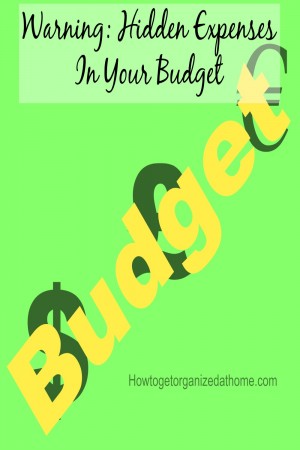 Finding hidden expenses in your budget can save you money each month, it is, after all, better for your money to work for you than big corporations.