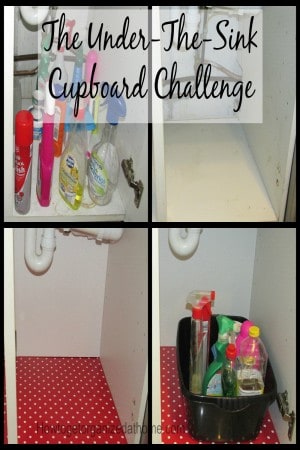 I needed to face my under-the-sink cupboard challenge, I had let fear take hold and create a monster instead of a quick household project!