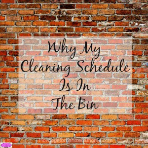 Why My Cleaning Schedule Is In The Bin