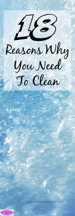 Do you wonder why you need to clean your home, why you need to clean the same things each day, week or year? Click to be inspired to clean!