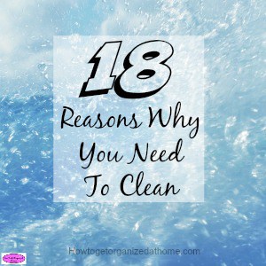 Do you wonder why you need to clean your home, why you need to clean the same things each day, week or year? Click to be inspired to clean!