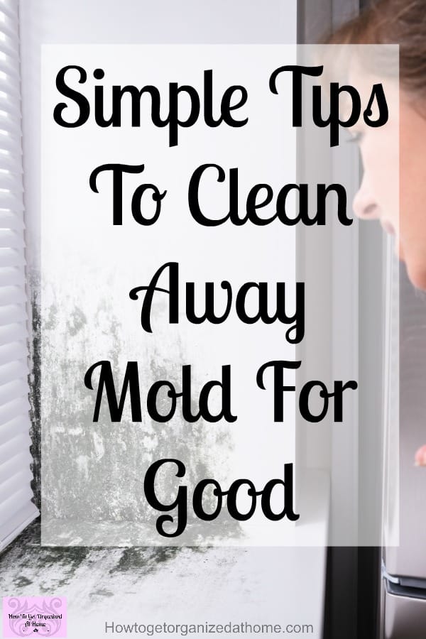 How to get rid of mold on your windows is simple with the right products! These cleaning tips will help you get rid of the mold once and for all!
