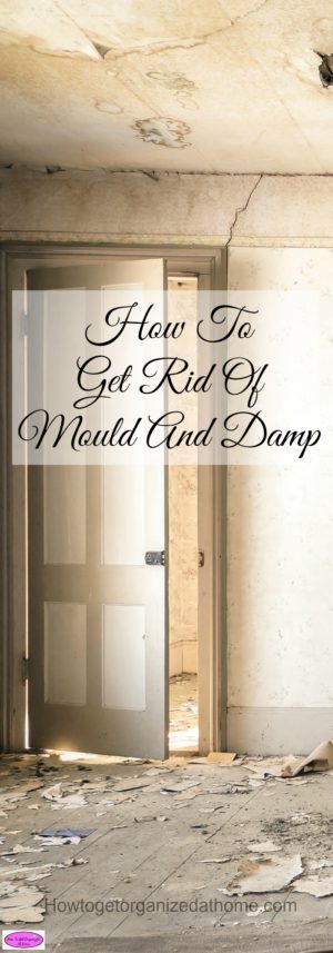 How To Get Rid Of Mould And Damp In Your Home