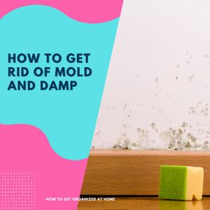 How To Get Rid Of Mold And Damp