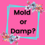 mold and damp
