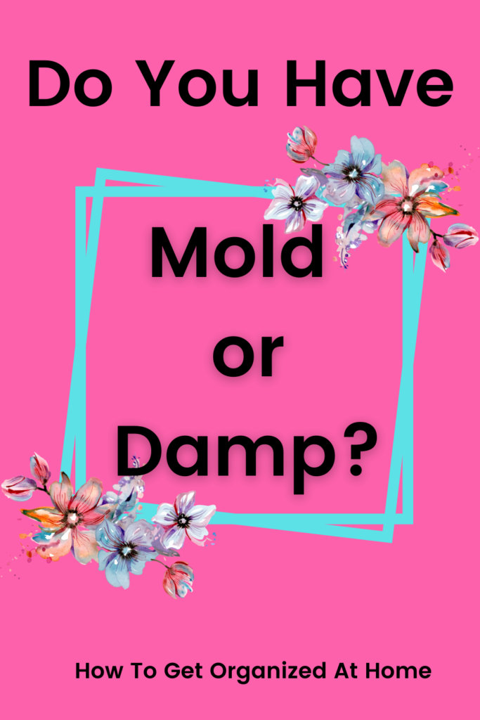 mold and damp