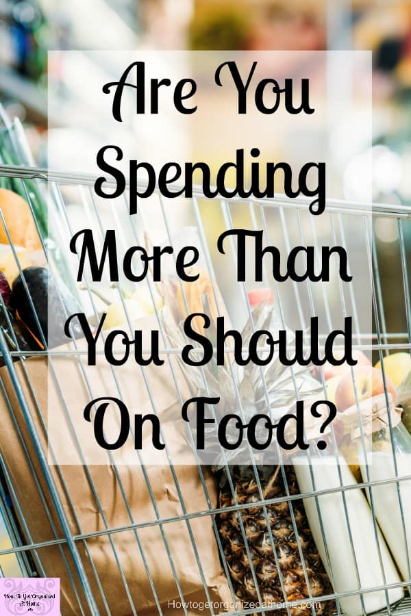 Looking for tips to stop spending too much money on groceries? These ideas will help you work out a grocery budget and manage your money better!
