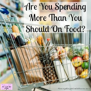 Spending money on groceries is important but how much is too much?