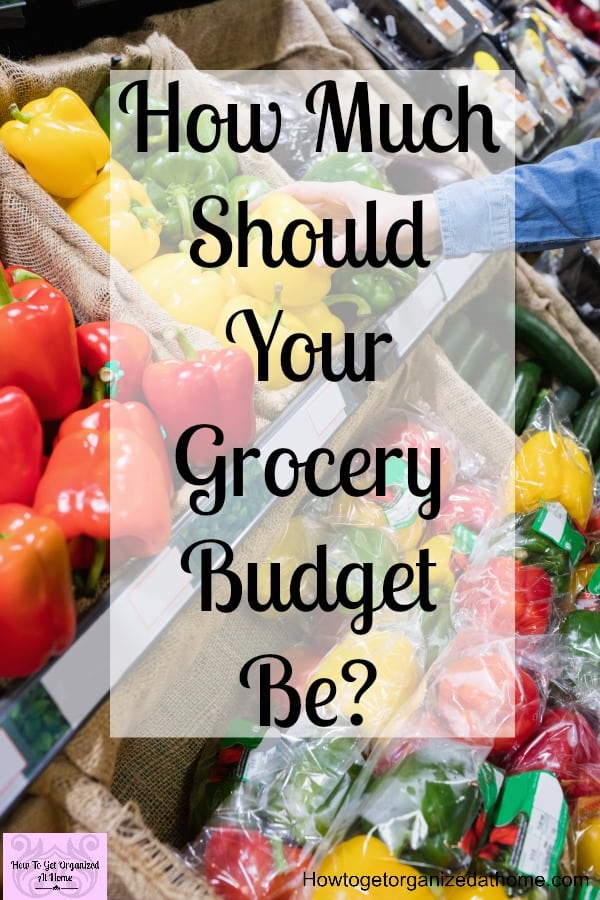 Looking for tips to stop spending too much money on groceries? These ideas will help you work out a grocery budget and manage your money better!