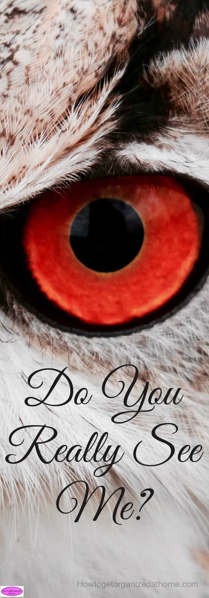 Do you really see me? I have often wondered this thought as I have struggled through my depression journey. It is easy to hide the extent of pain you feel!