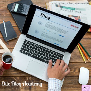 Looking to work from home blogging! Don’t miss out on the best course available!