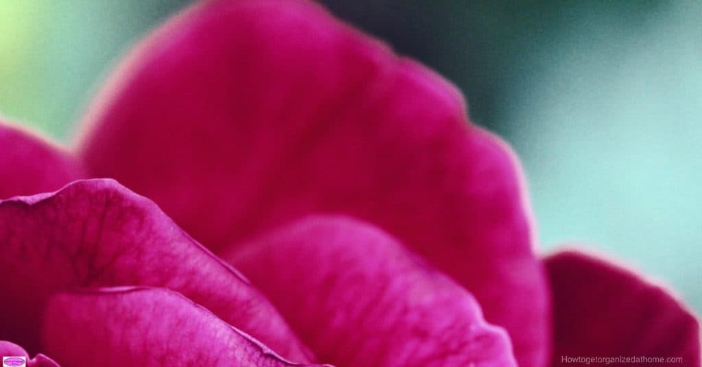 Finding Money For Valentine’s Day Finding enough money for Valentine's Day gifts isn't always easy. However, there are a few ways that you can find money in your budget for gifts.