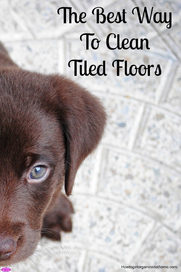 How you clean tiled floors doesn't have to be difficult, it is better to keep on top of the dust daily. Click the link to see how I clean them!