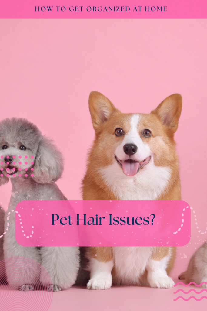 Is Pet Hair Everywhere?