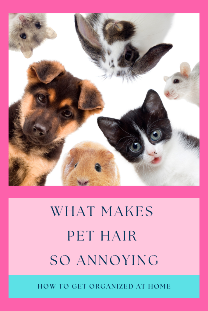 Pet Hair Everywhere?