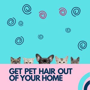 How To Clean Up The Pet Hair In Your Home