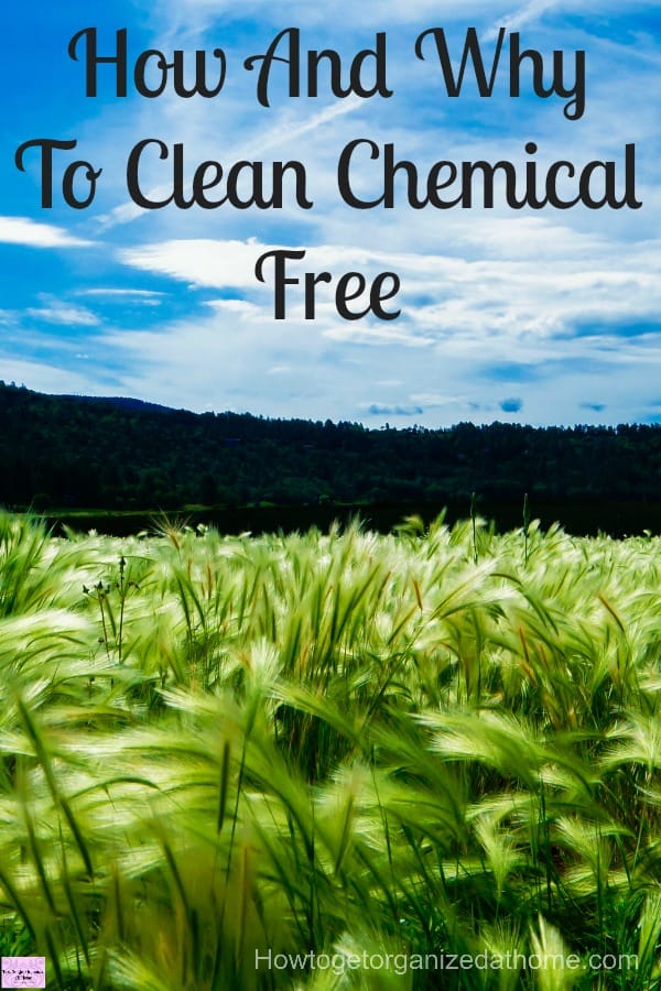 How and why you need to clean chemical free looks at the reasons behind cleaning chemical free and the process to convert!