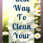 When it comes to cleaning my home for summer I take a step back and just do the basics, that way I get some fun in the sun too. #clean #cleaning #summer