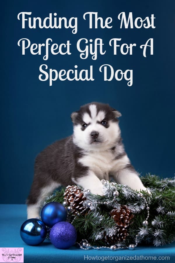  Looking for that perfect gift for dog lovers this holiday time? Then I’ve got you covered with this amazing list!