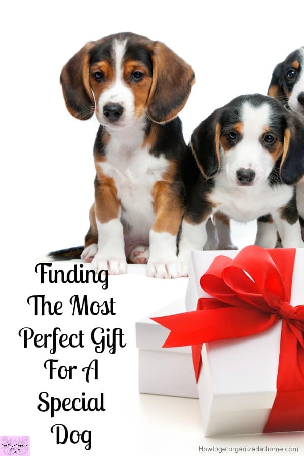 Looking for that perfect gift for dog lovers this holiday time? Then I've got you covered with this amazing list!