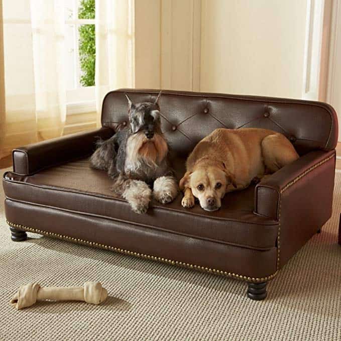 dog bed