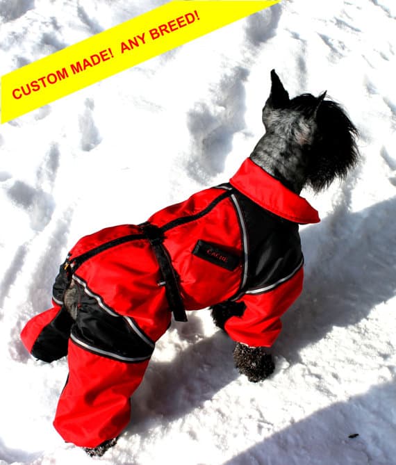 Dog snow suit