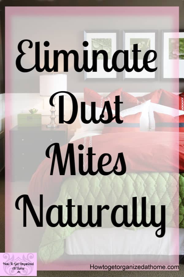 Cleaning your home is important, especially so in the bedroom! Reducing dust mites in the bedroom in a non-toxic way is key to looking after your health! Find out how to reduce the dust mites in your bedroom!