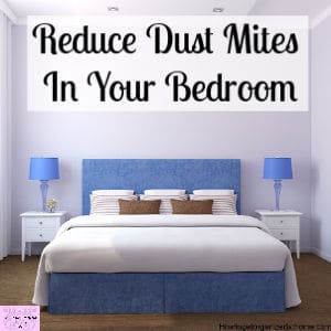 How To Reduce Dust Mites In The Bedroom?