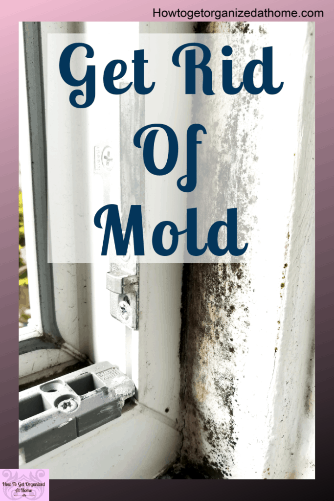 Do you want to know how to get rid of mold on your windows? Some products make it appear like it's gone but it will come back. Find out what these products are in this article. #mold #mould #moldy