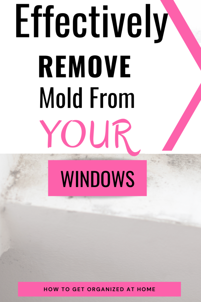 MOLD