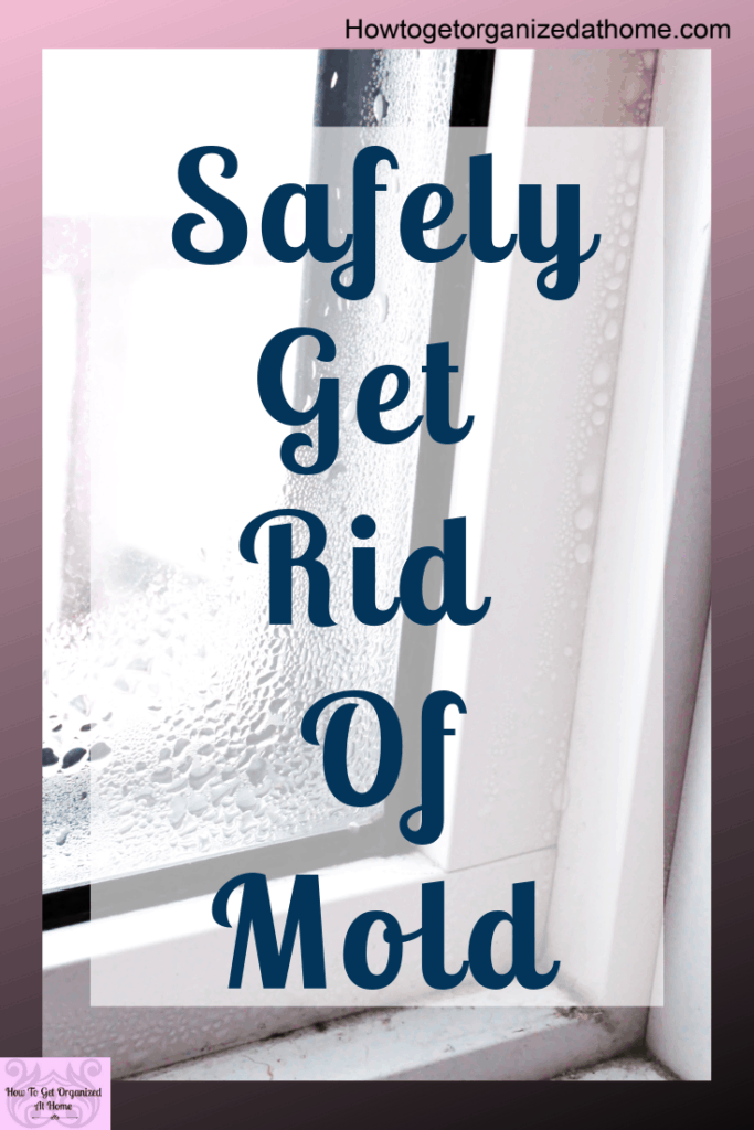 Mold isn't good for your health get rid of it with these simple tips and ideas that will transform how you treat mold. You don't want to breathe in spores or spread the mold further. Kill it for good with these tips and ideas for the best products to use. #mold #mould #moldy