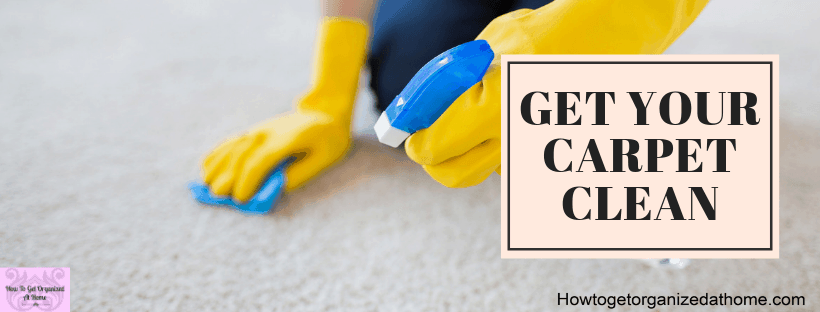 Carpet Cleaner Waterlooville